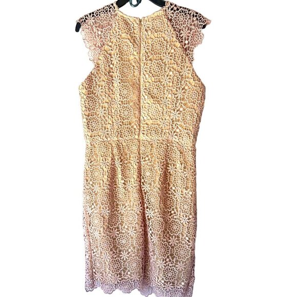 Minuet Lace Rose Gold Dress Cap Sleeves Dress Size Large - Picture 2 of 15